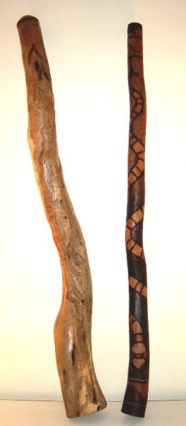 YELLOW BOX - TIGER SNAKE.jpg