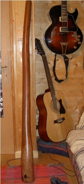 Le didg avec deux de mes guitares