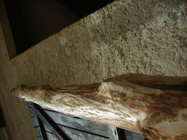 DSCN4758.JPG