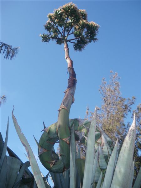 tourikoti-tournikota