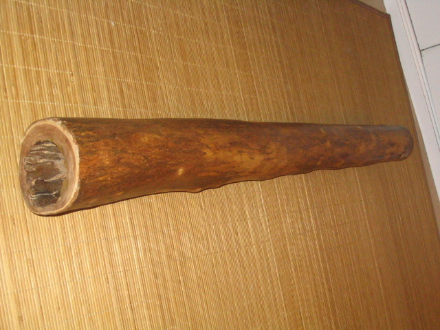 didg2 009.jpg