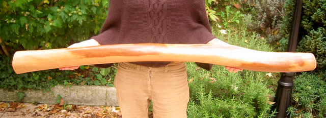 Woollybout02.jpg