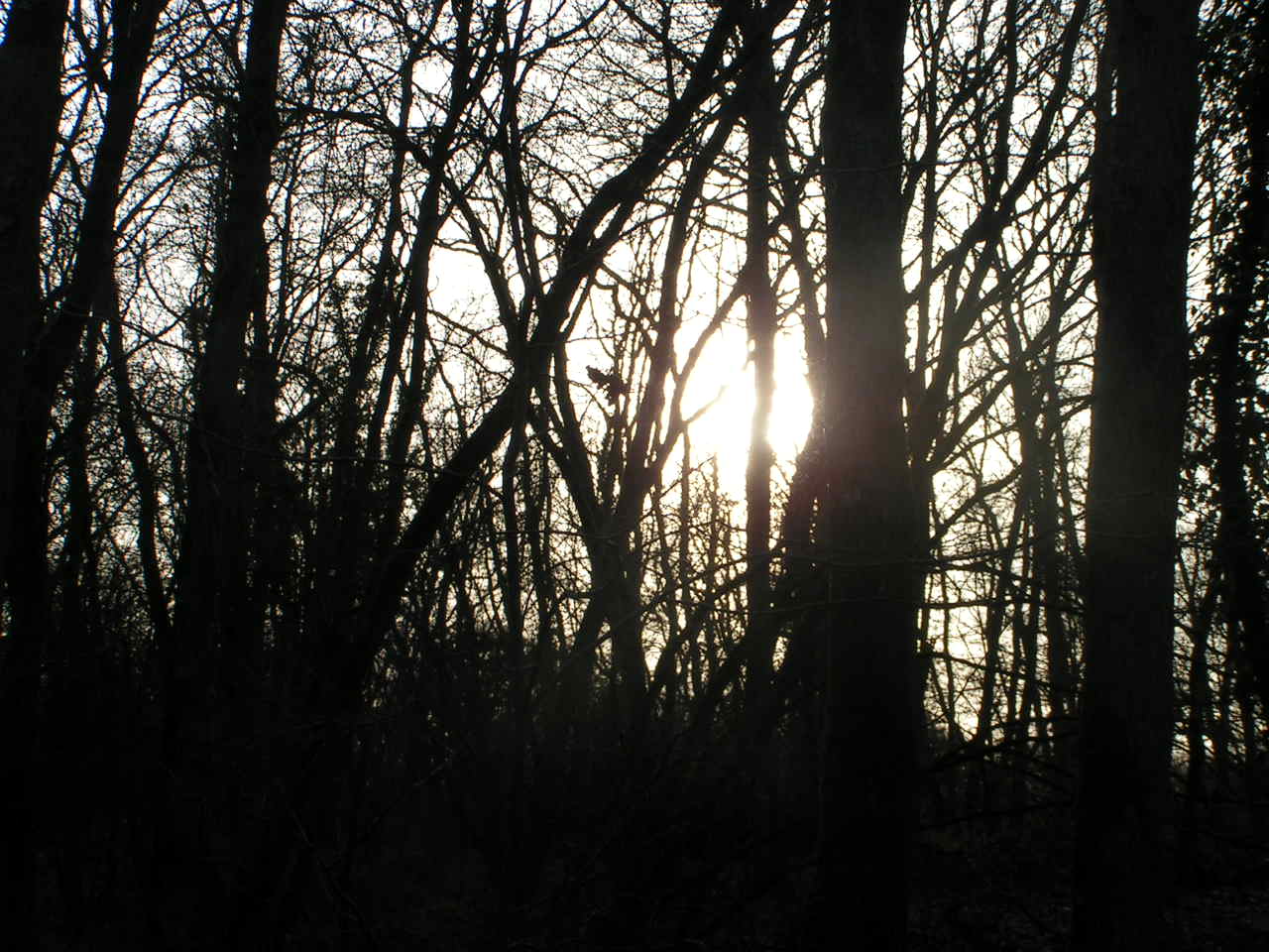 test app. photo numérik 055.jpg