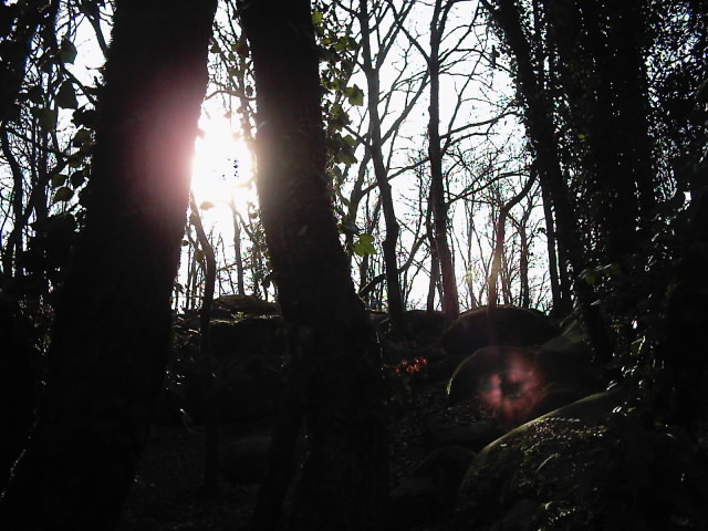 test app. photo numérik 014.jpg