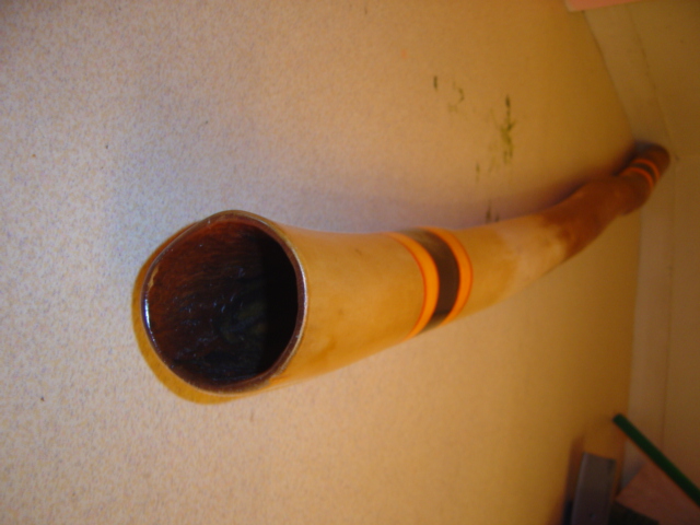 DSC03520.JPG