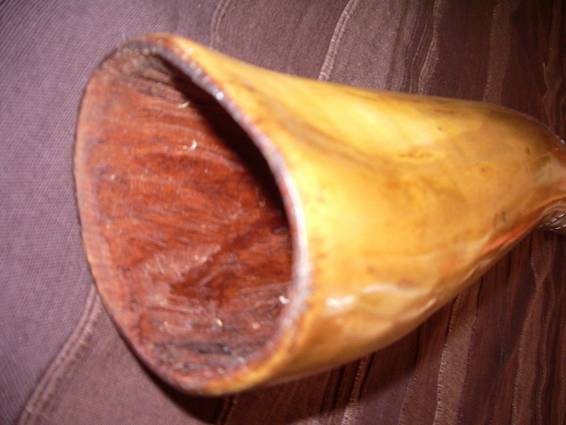 eucacloche.jpg