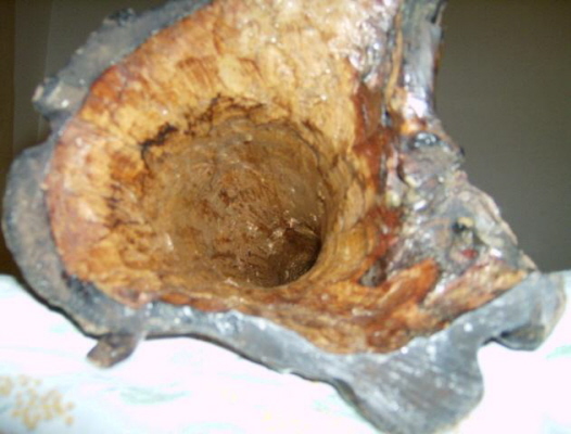 sa cloche à l'euca