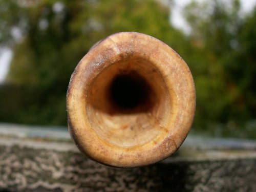 l'embouchure