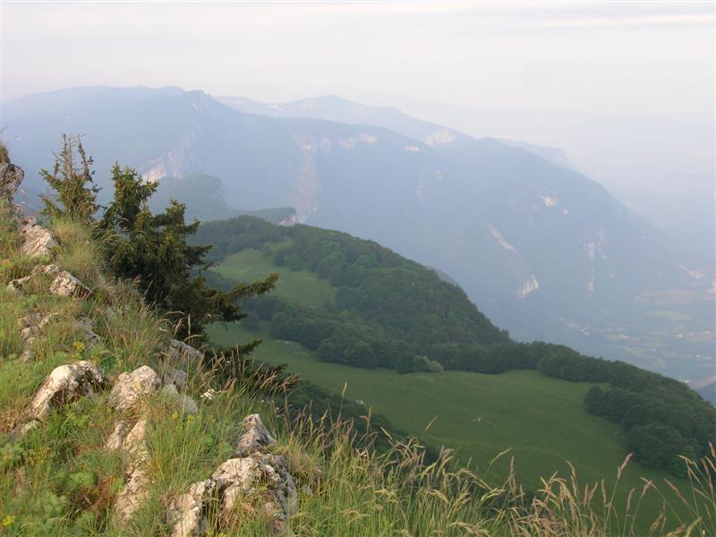 DSCN6208 (Moyenne).JPG