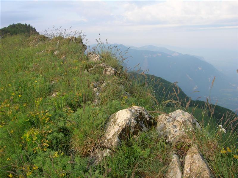 La balade sur la crête (Moyenne).JPG
